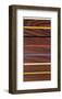 Woodgrain and Stripe-Dan Bleier-Framed Giclee Print