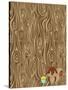 Woodgrain Squirrel-Joanne Paynter Design-Stretched Canvas