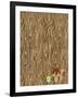 Woodgrain Squirrel-Joanne Paynter Design-Framed Giclee Print