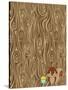 Woodgrain Squirrel-Joanne Paynter Design-Stretched Canvas