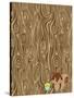 Woodgrain Squirrel-Joanne Paynter Design-Stretched Canvas