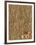 Woodgrain Squirrel-Joanne Paynter Design-Framed Giclee Print