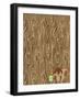 Woodgrain Squirrel-Joanne Paynter Design-Framed Giclee Print