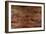 Woodgrain-Alexys Henry-Framed Giclee Print