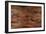 Woodgrain-Alexys Henry-Framed Giclee Print