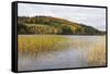 Woodhall Loch, Near Laurieston, Dumfries and Galloway, Scotland, United Kingdom, Europe-Gary Cook-Framed Stretched Canvas