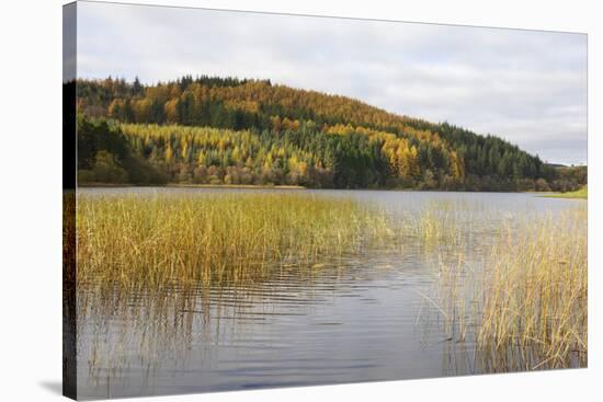 Woodhall Loch, Near Laurieston, Dumfries and Galloway, Scotland, United Kingdom, Europe-Gary Cook-Stretched Canvas