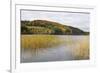 Woodhall Loch, Near Laurieston, Dumfries and Galloway, Scotland, United Kingdom, Europe-Gary Cook-Framed Photographic Print