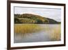 Woodhall Loch, Near Laurieston, Dumfries and Galloway, Scotland, United Kingdom, Europe-Gary Cook-Framed Photographic Print