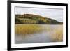 Woodhall Loch, Near Laurieston, Dumfries and Galloway, Scotland, United Kingdom, Europe-Gary Cook-Framed Photographic Print