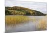 Woodhall Loch, Near Laurieston, Dumfries and Galloway, Scotland, United Kingdom, Europe-Gary Cook-Mounted Photographic Print