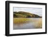 Woodhall Loch, Near Laurieston, Dumfries and Galloway, Scotland, United Kingdom, Europe-Gary Cook-Framed Photographic Print