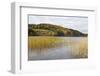 Woodhall Loch, Near Laurieston, Dumfries and Galloway, Scotland, United Kingdom, Europe-Gary Cook-Framed Photographic Print