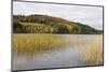 Woodhall Loch, Near Laurieston, Dumfries and Galloway, Scotland, United Kingdom, Europe-Gary Cook-Mounted Photographic Print