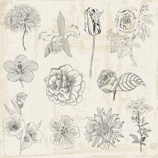 Art Print, , large