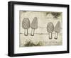 Woodland 2-The Saturday Evening Post-Framed Giclee Print