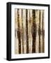 Woodland 7-DAG, Inc-Framed Art Print