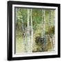 Woodland Birch-Alexys Henry-Framed Giclee Print