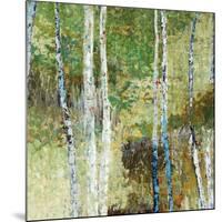 Woodland Birch-Alexys Henry-Mounted Giclee Print