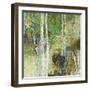 Woodland Birch-Alexys Henry-Framed Giclee Print