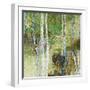 Woodland Birch-Alexys Henry-Framed Giclee Print