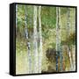 Woodland Birch-Alexys Henry-Framed Stretched Canvas