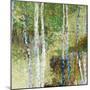 Woodland Birch-Alexys Henry-Mounted Premium Giclee Print