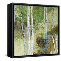 Woodland Birch-Alexys Henry-Framed Stretched Canvas