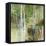 Woodland Birch-Alexys Henry-Framed Stretched Canvas