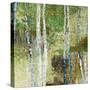 Woodland Birch-Alexys Henry-Stretched Canvas