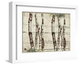 Woodland Birches-null-Framed Giclee Print