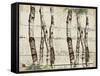 Woodland Birches-null-Framed Stretched Canvas