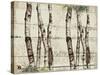 Woodland Birches-null-Stretched Canvas