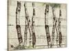Woodland Birches-null-Stretched Canvas