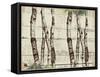 Woodland Birches-null-Framed Stretched Canvas