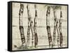 Woodland Birches-null-Framed Stretched Canvas