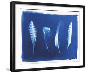 Woodland Bird's Feathers-Sarah Cheyne-Framed Giclee Print