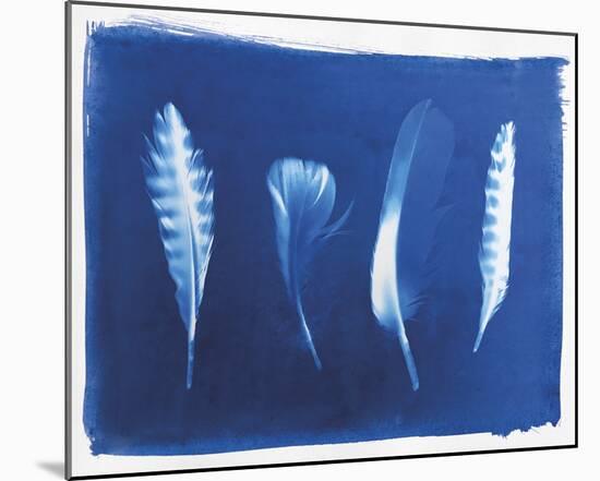 Woodland Bird's Feathers-Sarah Cheyne-Mounted Giclee Print