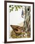 Woodland Birds-R. B. Davis-Framed Giclee Print