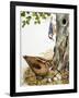 Woodland Birds-R. B. Davis-Framed Giclee Print