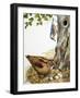 Woodland Birds-R. B. Davis-Framed Giclee Print