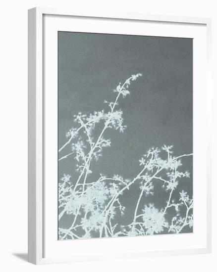 Woodland Blossom-Sarah Cheyne-Framed Giclee Print