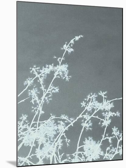 Woodland Blossom-Sarah Cheyne-Mounted Giclee Print