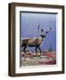 Woodland Caribou on a Ridge During Fall Migration, Quebec, Canada-Charles Sleicher-Framed Photographic Print