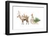 Woodland Celebration I on White-Danhui Nai-Framed Art Print