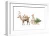 Woodland Celebration I on White-Danhui Nai-Framed Art Print