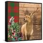 Woodland Christmas Square 1-Kim Allen-Framed Stretched Canvas