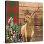 Woodland Christmas Square 1-Kim Allen-Stretched Canvas