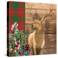 Woodland Christmas Square 1-Kim Allen-Stretched Canvas