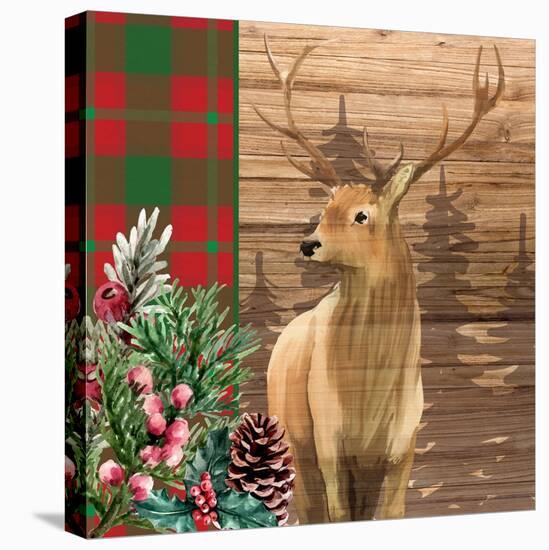 Woodland Christmas Square 1-Kim Allen-Stretched Canvas